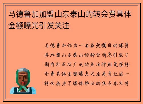 马德鲁加加盟山东泰山的转会费具体金额曝光引发关注